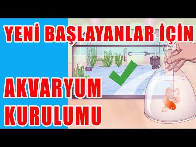 AQUARIUM SETUP FOR BEGINNERS 2022 - Aquarium Bill of Materials