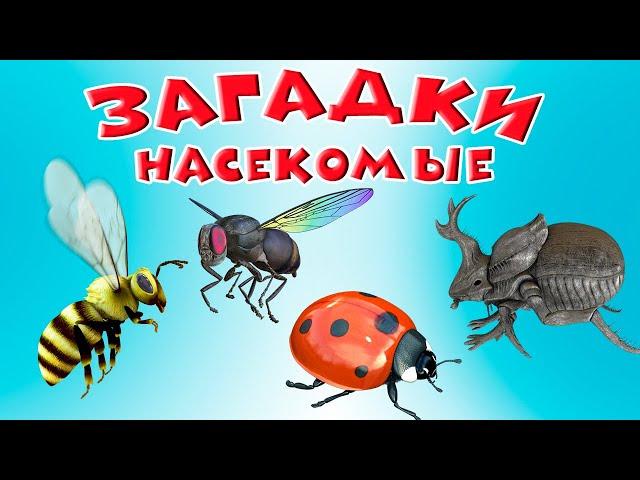 Загадки Насекомые  Для детей  Учим насекомых  Насекомые мультик  Развивающие мультики