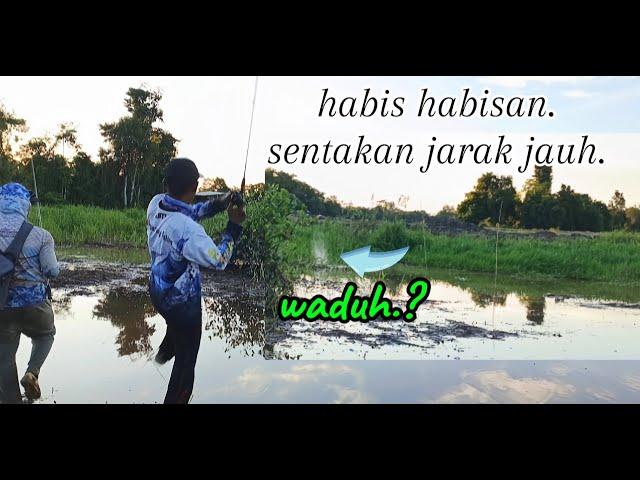 SEMAKIN SURE IKAN DISINI SEMAKIN GANAS/BERINGAS.CESTING IKAN GABUS