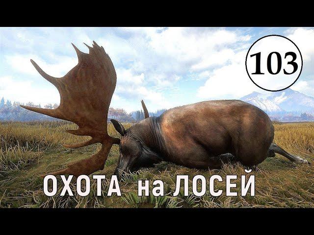 TheHunter Call of the Wild - ОХОТА на ЛОСЕЙ - Много Крупных ЛОСЕЙ # 103