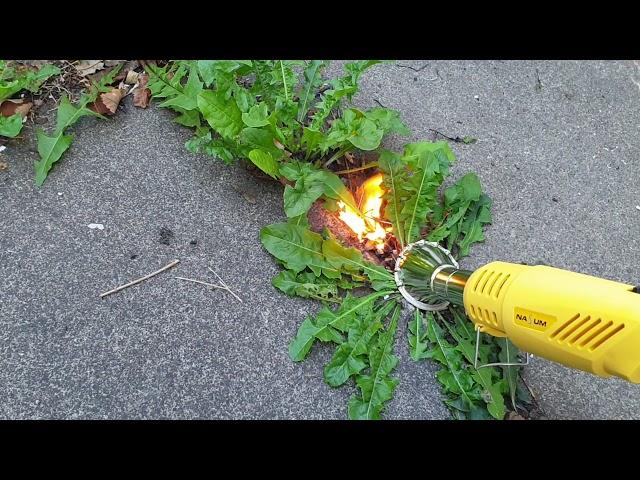 Weeds Begone | Using a weed burner for the first time | Garden work