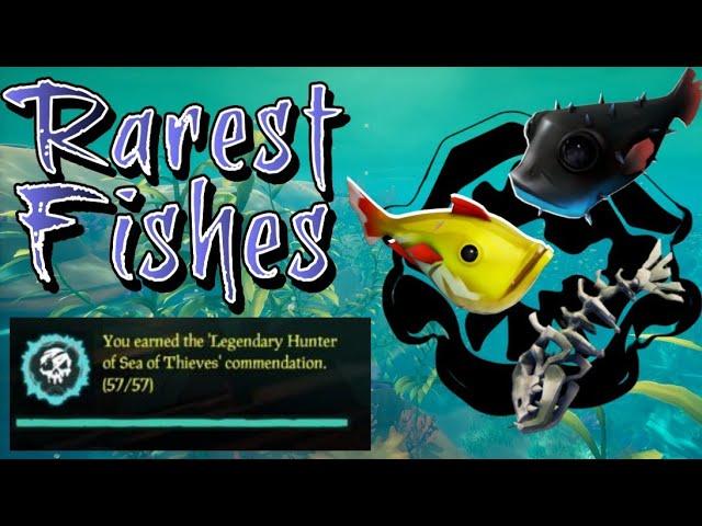 Rarest Fish Farm Guide - how to grind all farmable rare fish