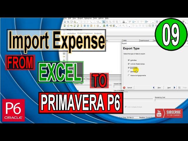 Import Project Expense cost in Primavera P6 from Excel file | Load Expense in Project | load Actuals