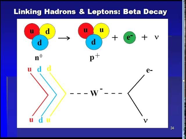 ABC Preon Model 5 - Quarks, Neutrinos, and the Weak Interactions