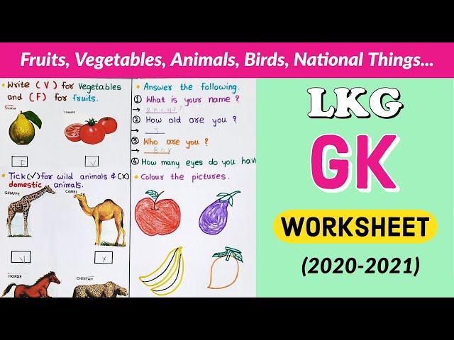 LKG GK Worksheet । GK worksheet for LKG । Junior Kg । Kindergarten GK worksheet