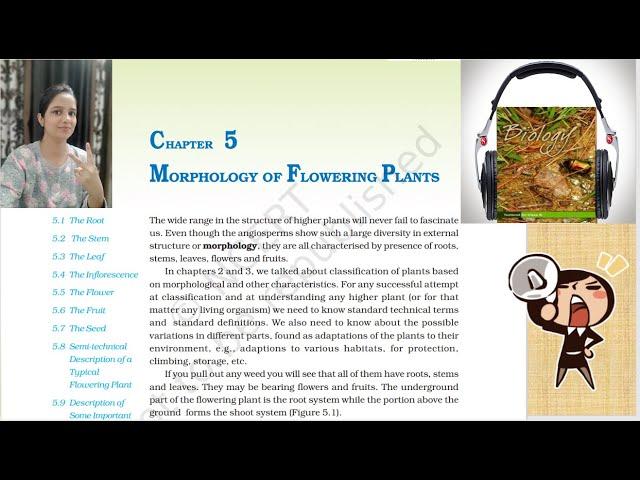 Class11 Ch5 Morphology of Flowering Plants NCERT Biology(Reading Only) | Biology Class 11Audio Books