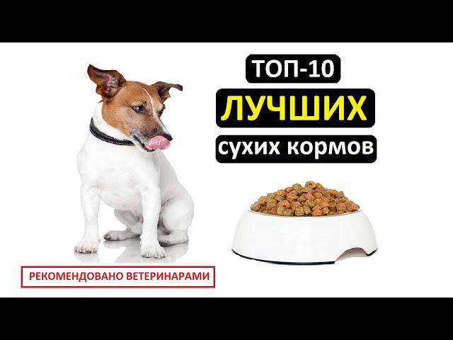 ТОП-10 лучших сухих кормов для собак | Совет ветеринара