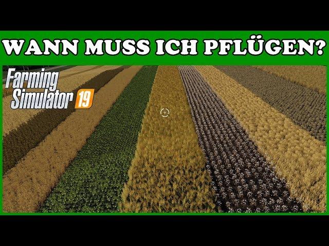 [GER]DER GROßE TEST WANN MUSS ICH PFLÜGEN? LS19-FS19PS4HD