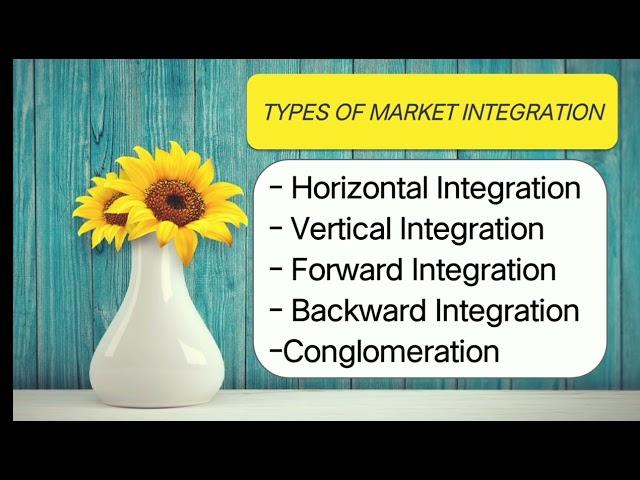 Market Integration ( reasons and types) | The Contemporary World