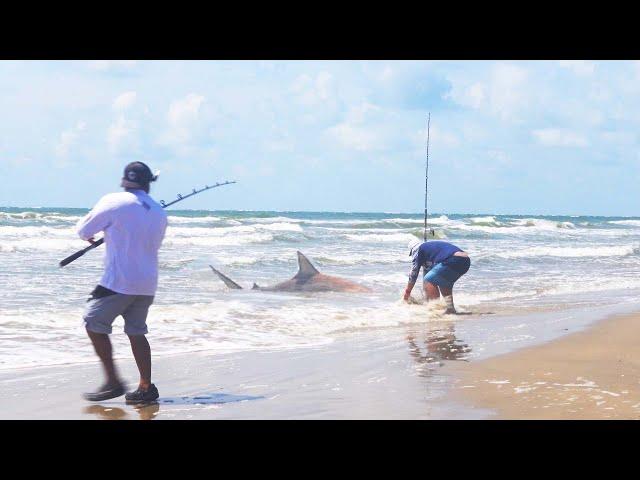 Fisherman lands DANGEROUS GIANTS Surf Fishing