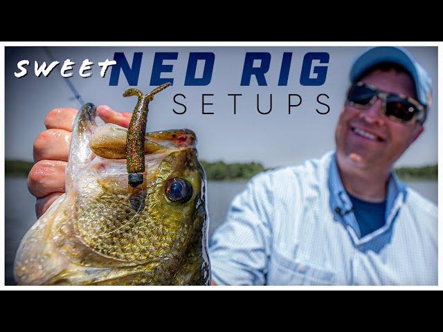 7 Legit Ned Rig Jig and Plastic Setups 