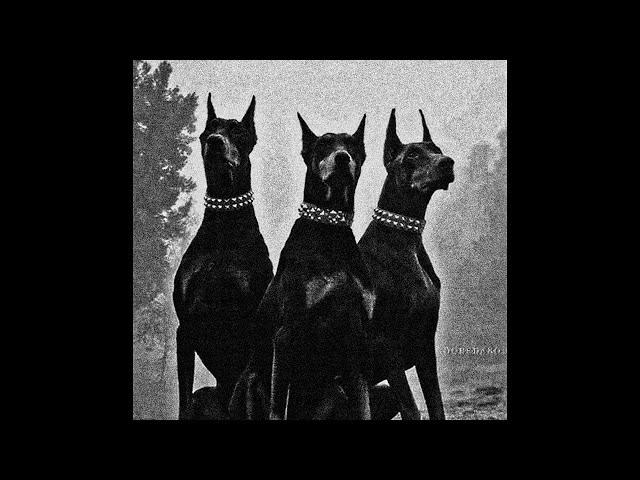 [FREE FOR PROFIT] ASAP Rocky Type Beat 2024 x 21 Savage Type Beat - AK47