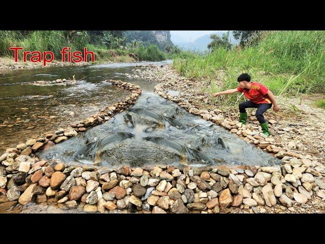 Lam arranged rocks to form a fish trap close to the stream bank. The fish were caught in the trap