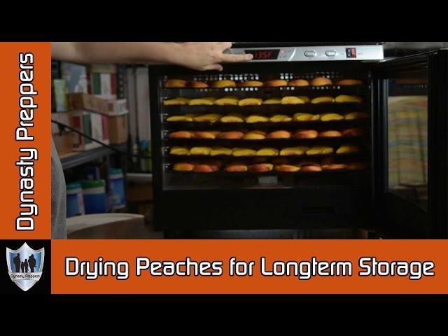 Drying Peaches for Longterm Food Storage   Dynasty Preppers