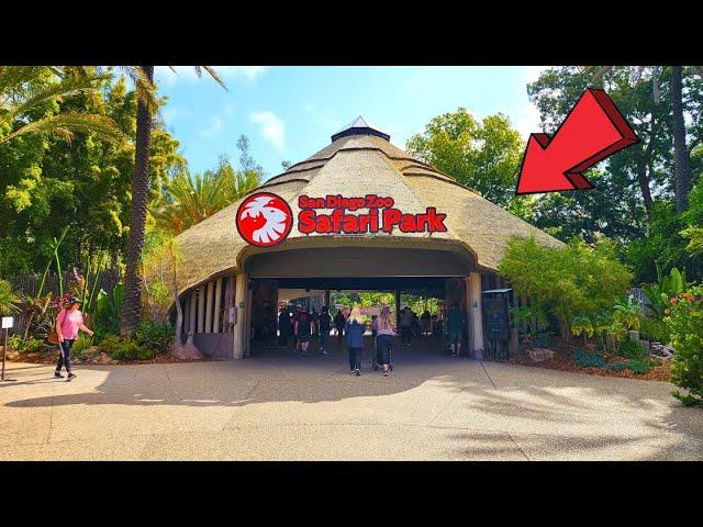 San Diego Zoo Safari Park California Full Tour 2024