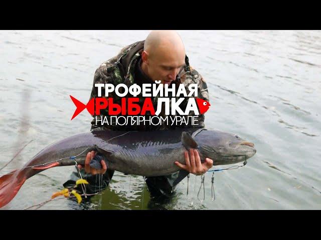 Heli fishing in the Polar Ural | Come and visit the Urals, Russia #4