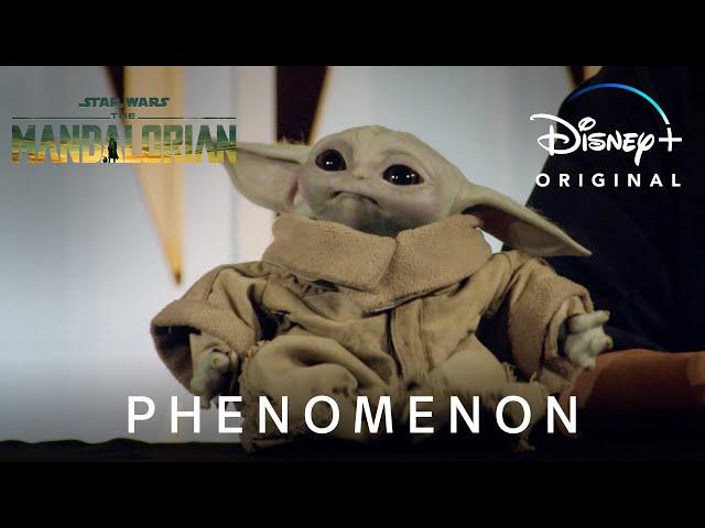 Phenomenon | The Mandalorian | Disney+