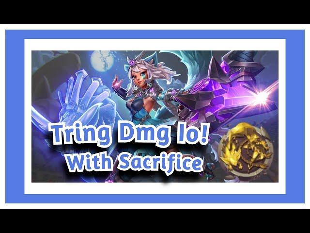 Trying Dmg Io! with Sacrifice (Paladins)