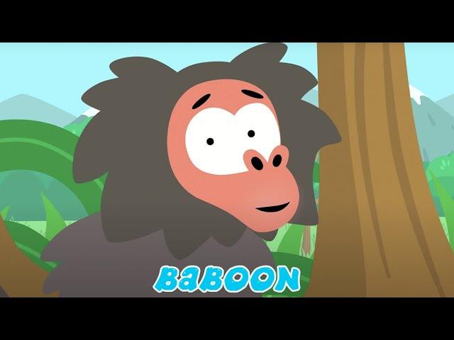 BABOON  Nursery Songs For Kids  Meow Meow Kitty Song