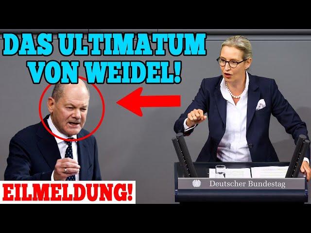 Das Ultimatum von Weidel!...Scholz weinte wie verrückt...