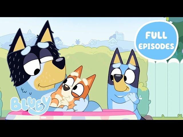 Bluey FULL Episodes Seasons 1 - 3  | Featuring Dad Baby, Faceytalk and more! | 2 HOURS | Bluey