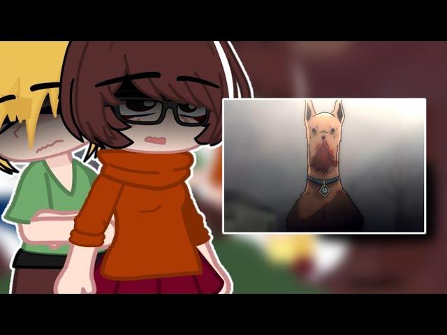 [en/pt] Scooby Doo (Mistery S/A) React: Velma meets the Original Velma | @AvocadoAnimations | #091