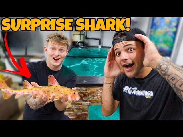 SURPRISING PAUL CUFFARO WITH AN EXOTIC SHARK!!! *INSANE*