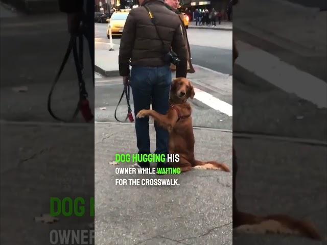 They saw this dog hugging it’s owner on the street ️