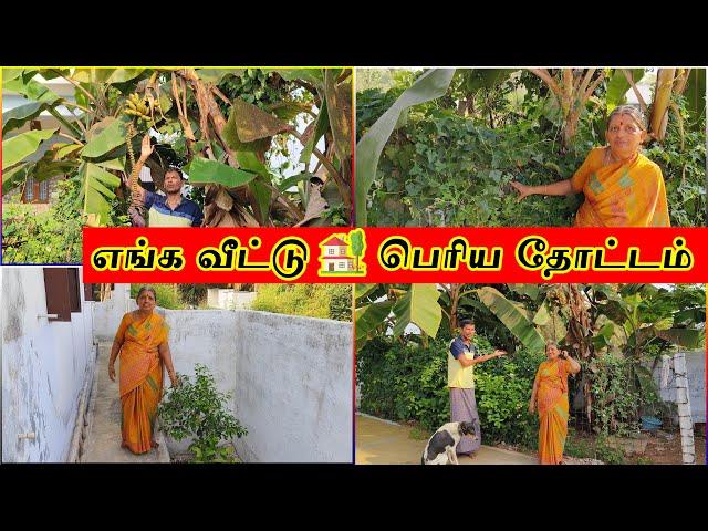 எங்க வீட்டு  "Garden Tour"  வீட்டுல இவ்ளோ பெரிய தோட்டமா  @GobiAmma