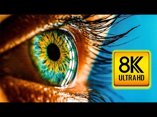 Everyday Objects in Macro in 8K ULTRA HD / 8K TV