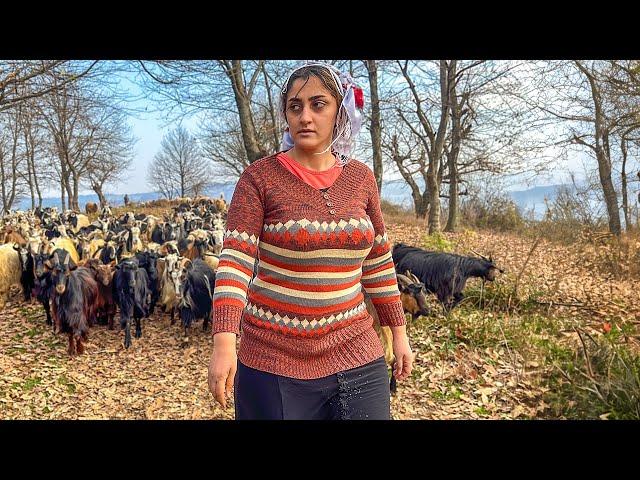 IRAN nomadic life | daily routine village lifestyle | Nomadic lifestyle of Iran