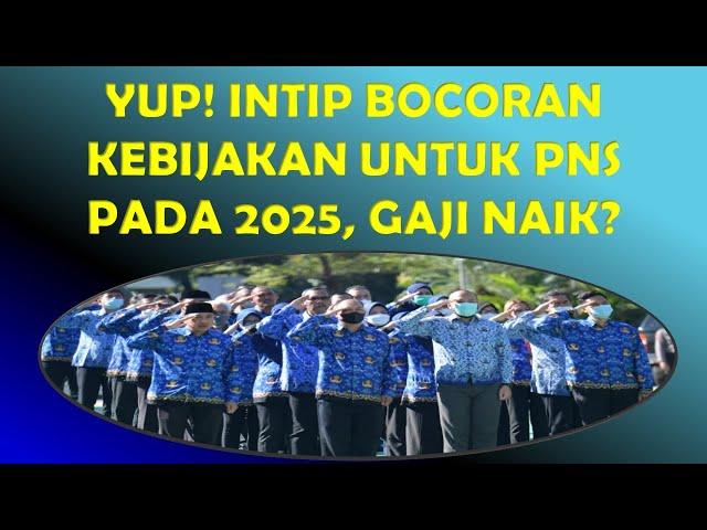 INTIP BOCORAN KEBIJAKAN BUAT PNS PADA 2025, APA GAJI NAIK?