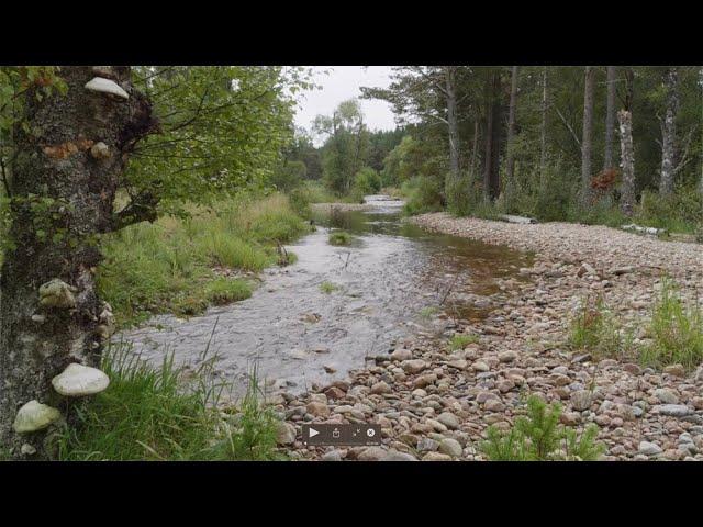 Allt Lorgy River Restoration