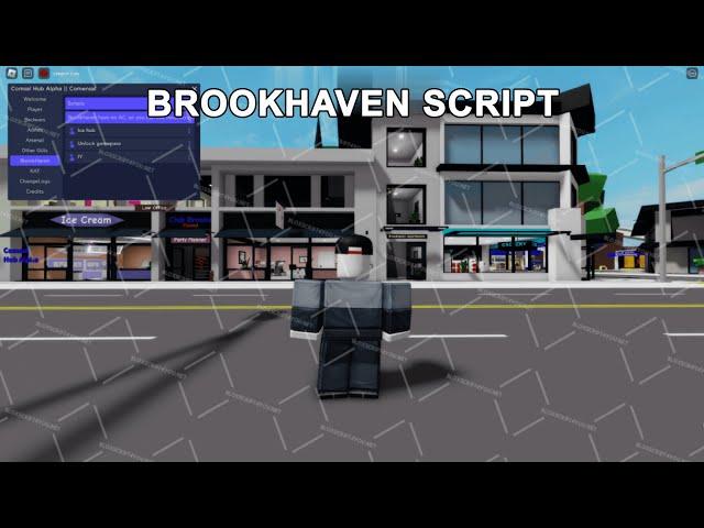 NOVO SCRIPT SEM KEY NO BROOKHAVEN DEPOIS DA ATUALIZAÇÃO MOBILE & PC