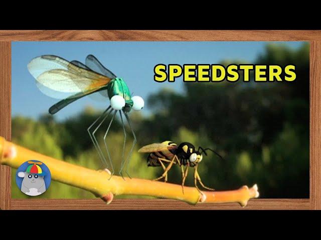 Minuscule - Insect High Velocity