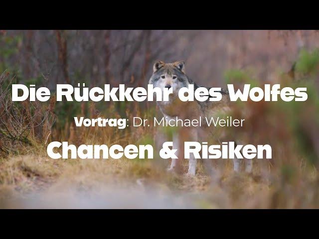 Die Rückkehr des Wolfes - Chancen & Risiken