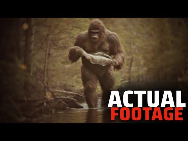 Mireya Mayor: "This Bigfoot Footage Has To Be DELETED Forever!"