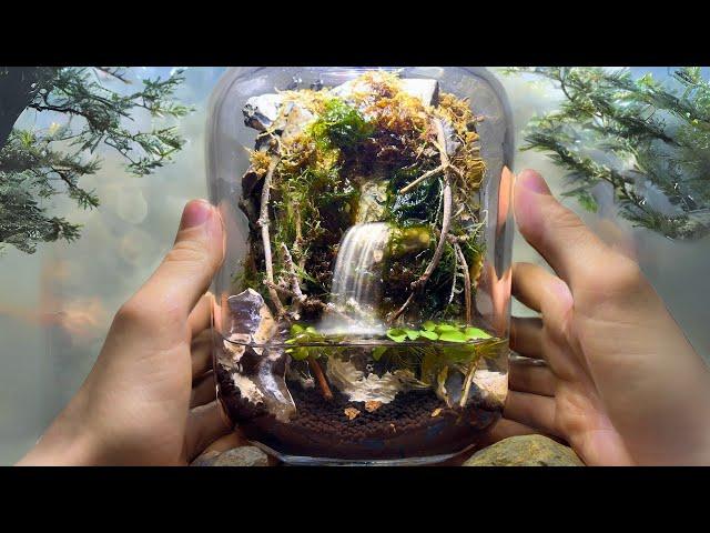 PALUDARIUM WITH A WATERFALL IN A JAR | TERRAQUAMAN