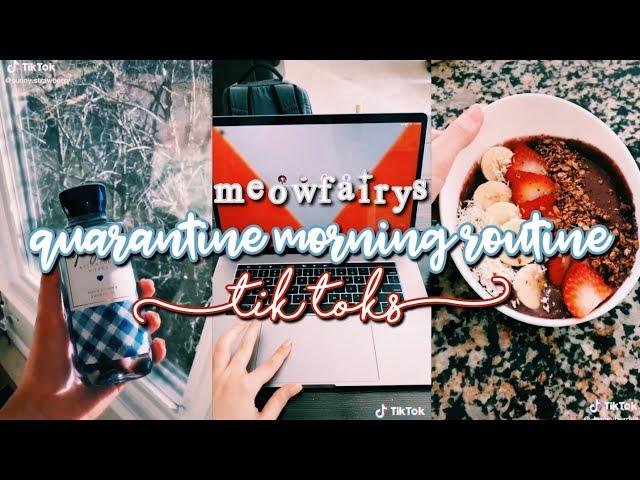 quarantine morning routine tik toks • meowfairys 