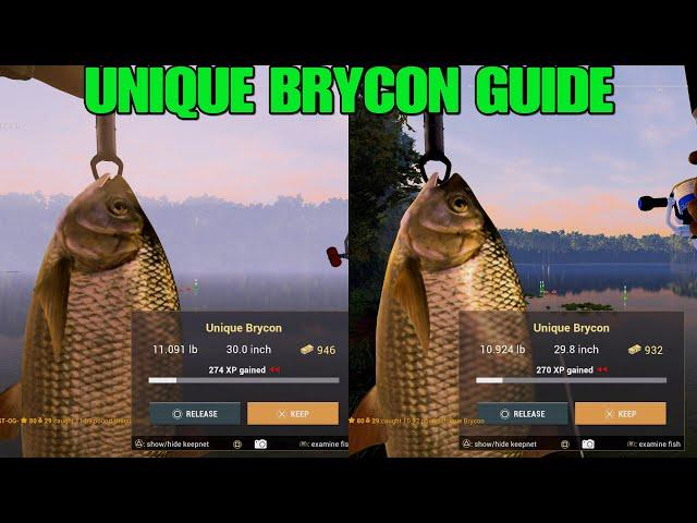 Unique Brycon Hotspots At Maku Maku Lake - Fishing Planet