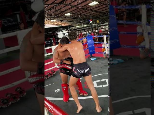 Intense Muay Thai pad holding at EVO360 Pattaya