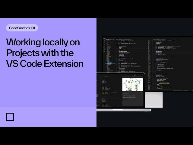 Working locally on Projects with the VS Code Extension