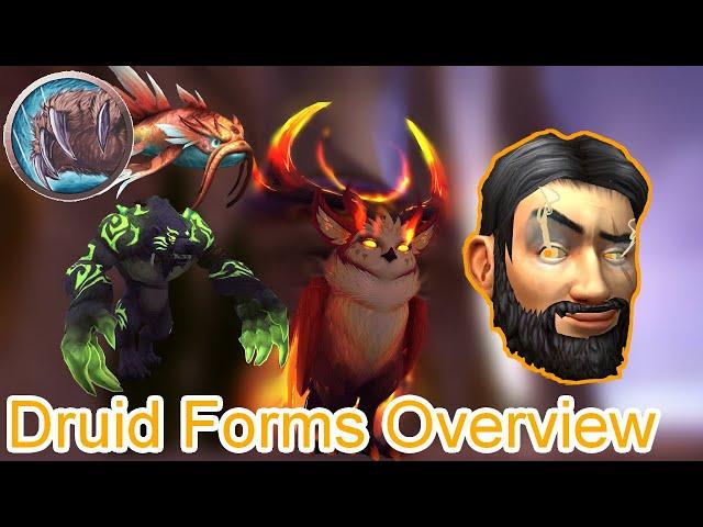 How to Obtain ALL Druid Forms! | World of Warcraft Class Guides