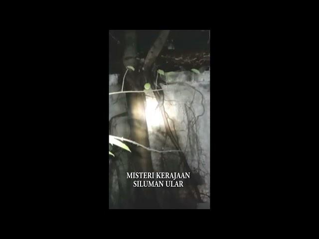 Misteri Kerajaan Siluman Ular