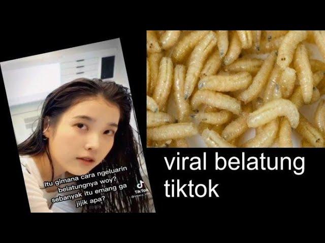 BELATUNG VIRAL DI TIKTOK FULL VIDEO