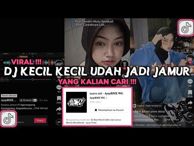 DJ KECIL KECIL UDAH JADI JAMUR JANDA JANDA DI BAWAH UMUR VIRAL TIKTOK 2023