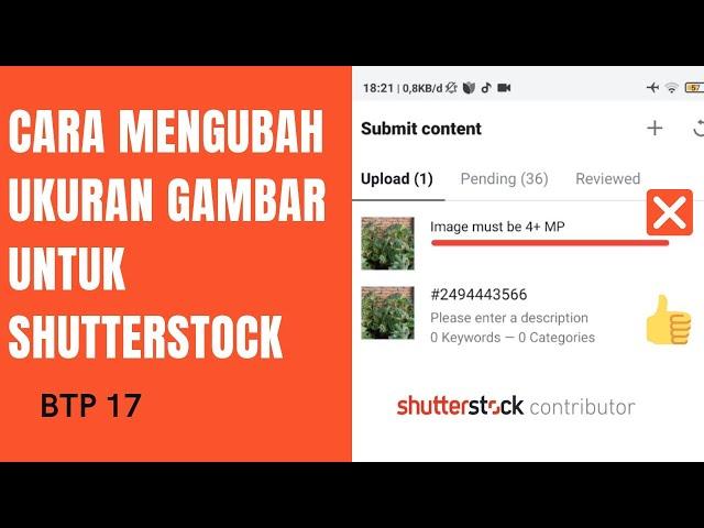 Cara mengubah ukuran gambar agar bisa diterima shutterstock