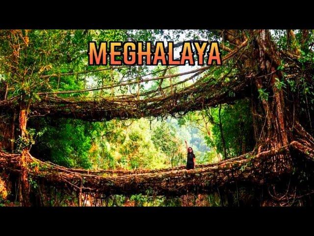 Best places to visit in Meghalaya / What is the most popular in Meghalaya? #tourist #youtubeshorts