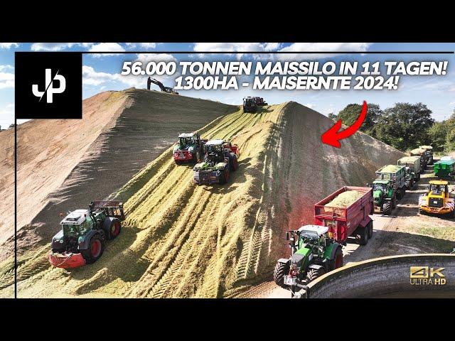 Mais 2024!  1300HA auf einem Silo! || JP Agrar