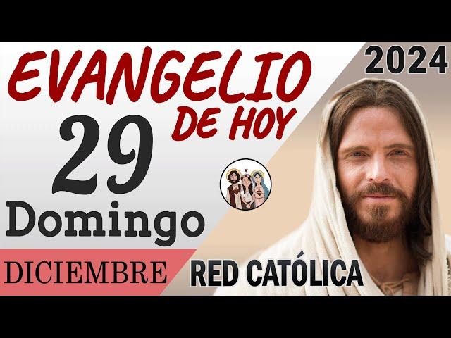 Evangelio de Hoy Domingo 29 de Diciembre de 2024 | REFLEXIÓN | Red Catolica